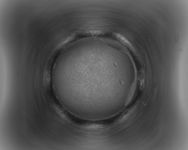 X0000086730593200704201648