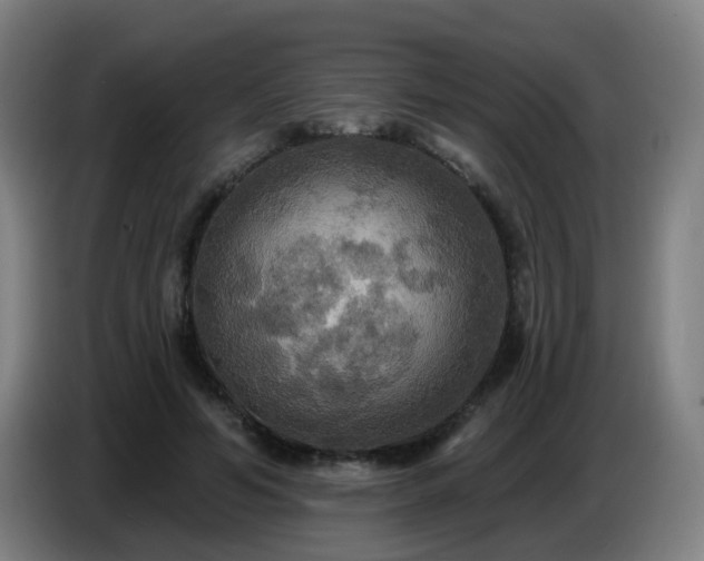 X0000086730594200704201648