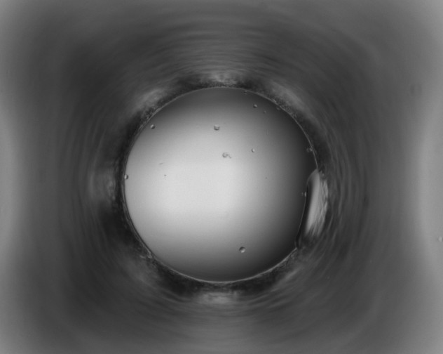 X0000086730595200704201648