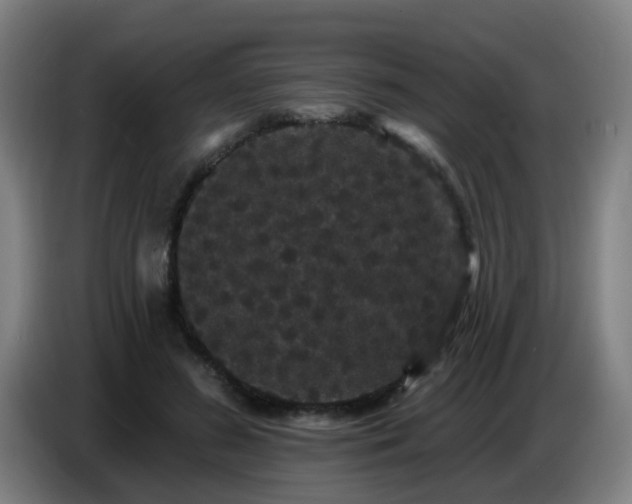 X0000086730596200704201648