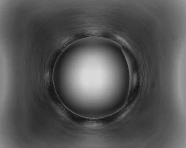 X0000086730597200704201648