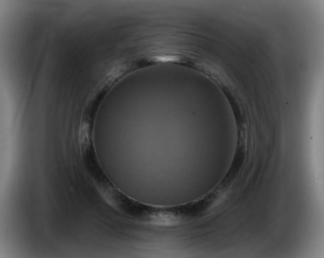 X0000086730598200704201648