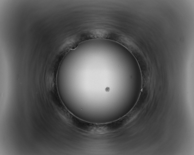 X0000086730599200704201648