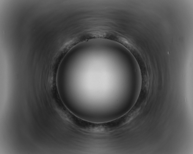 X0000086730600200704201648