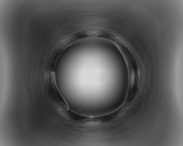 X0000086730601200704201647