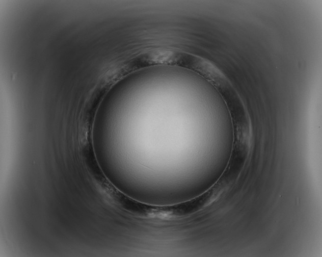 X0000086730602200704201647