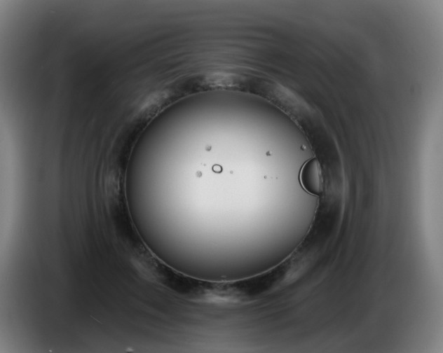 X0000086730603200704201647