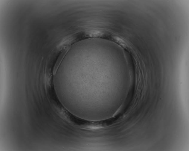 X0000086730604200704201647