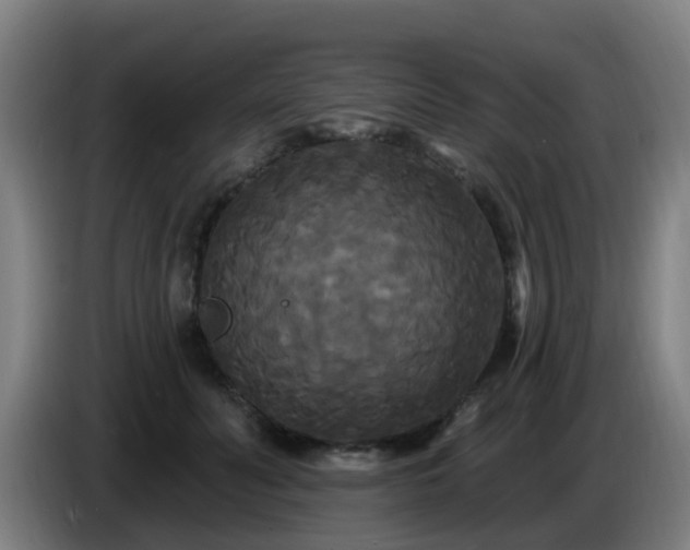 X0000086730606200704201647