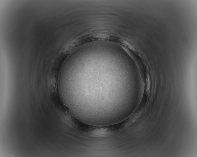 X0000086730609200704201647