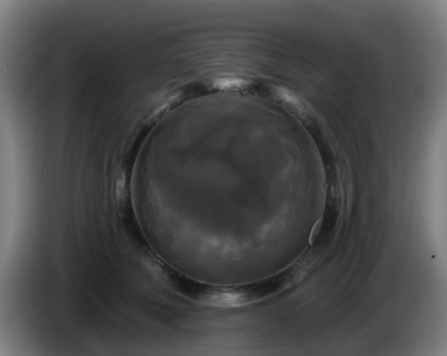 X0000086730610200704201647