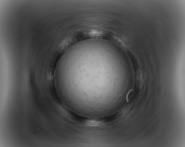 X0000086730614200704201647