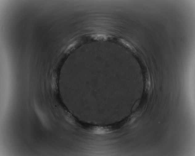 X0000086730616200704201647