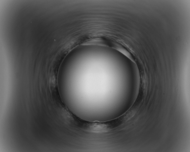 X0000086730617200704201647