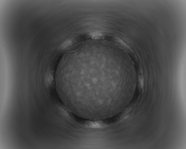 X0000086730618200704201647