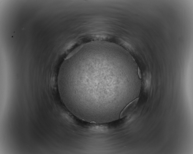 X0000086730619200704201647