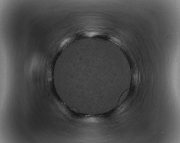 X0000086730620200704201647