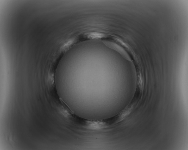 X0000086730621200704201647