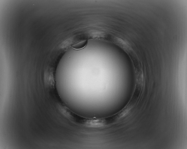 X0000086730622200704201647