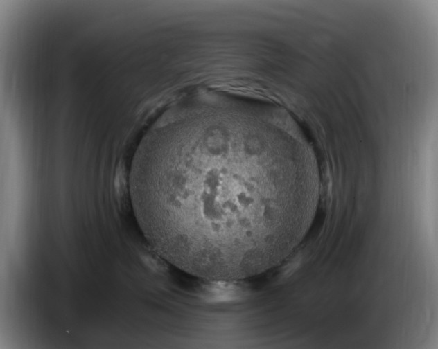 X0000086730623200704201647