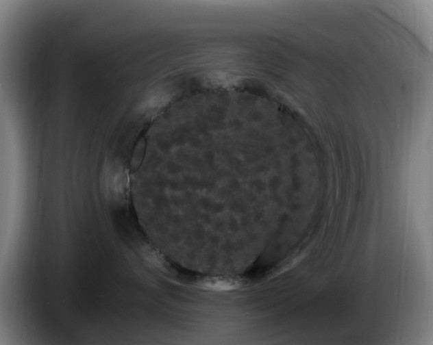 X0000086730624200704201647