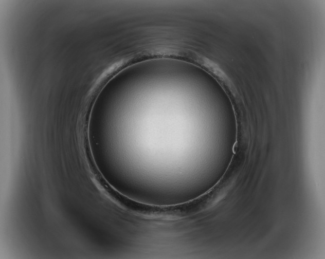 X0000086730625200704201647