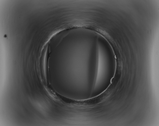 X0000086730626200704201647