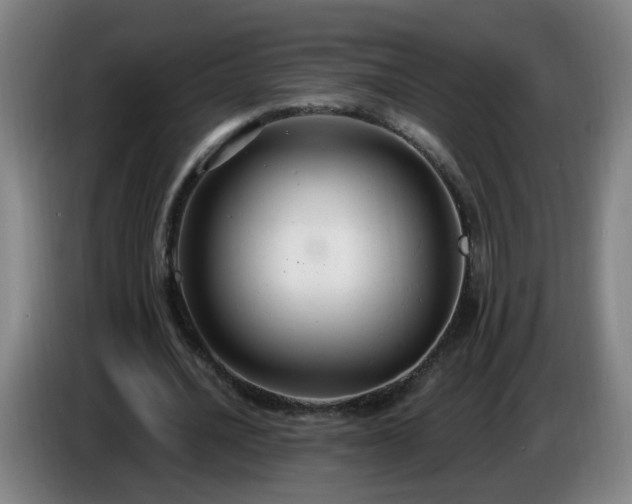 X0000086730628200704201647