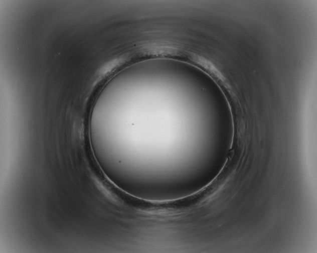 X0000086730629200704201647