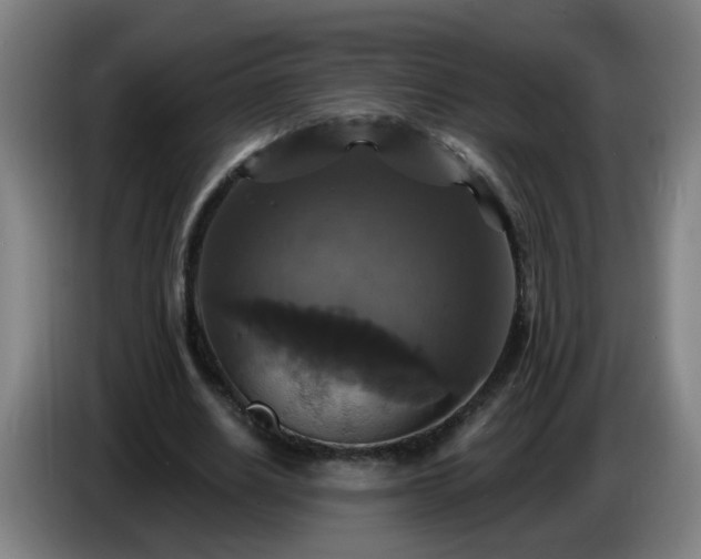 X0000086730630200704201647