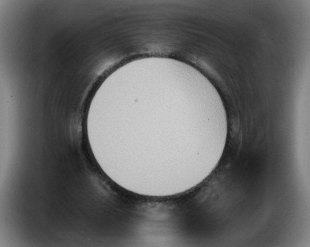 X0000086730632200704201647