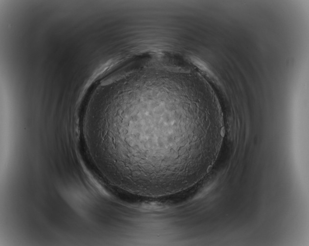 X0000086730634200704201647