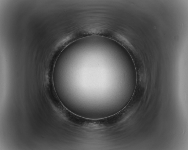 X0000086730635200704201647