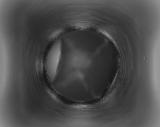 X0000086730637200704201647