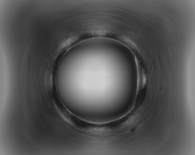 X0000086730638200704201647