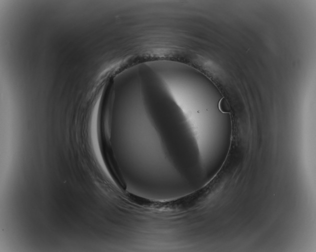 X0000086730640200704201647