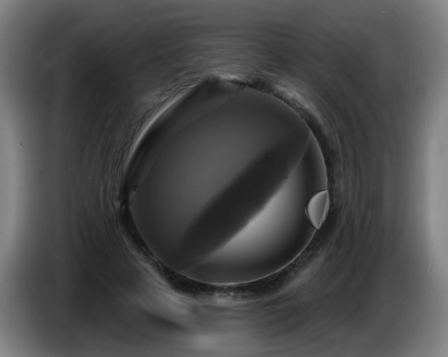 X0000086730641200704201647