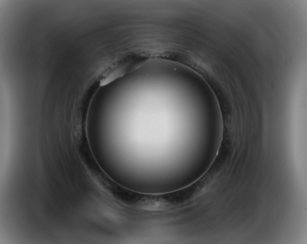 X0000086730642200704201647