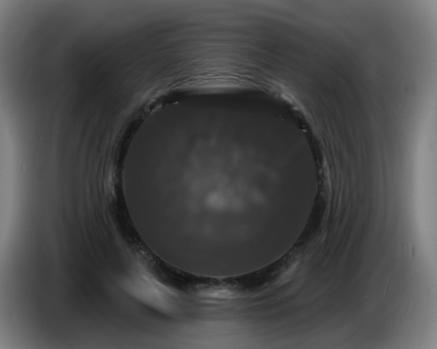 X0000086730643200704201647