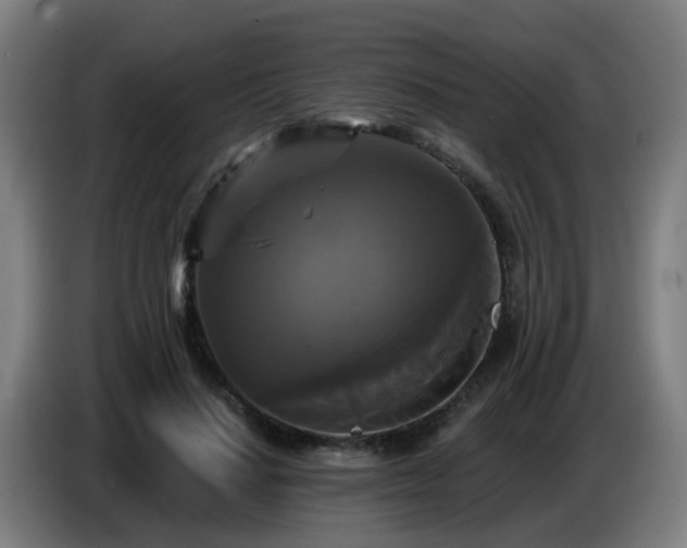 X0000086730644200704201647