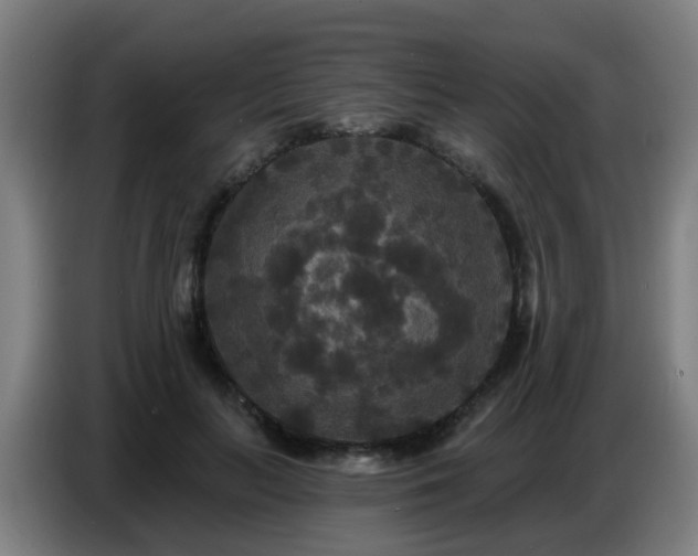 X0000086730647200704201647