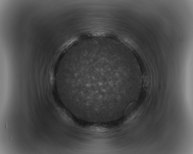 X0000086730648200704201647