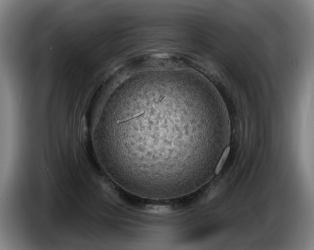 X0000086730649200704201647