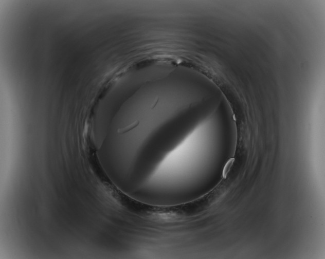 X0000086730650200704201647