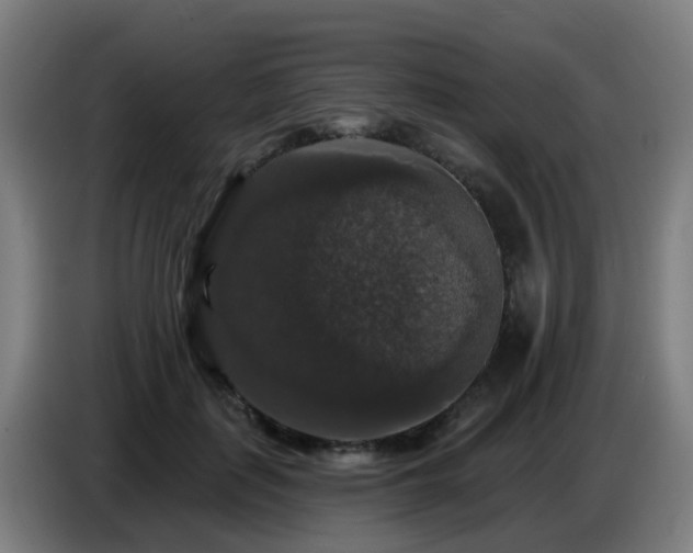 X0000086730651200704201647