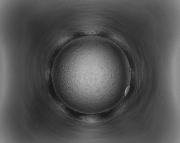 X0000086730652200704201647