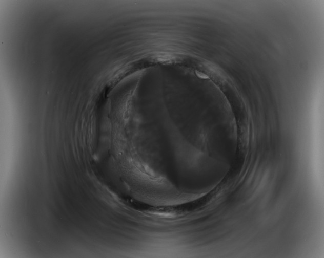 X0000086730653200704201647