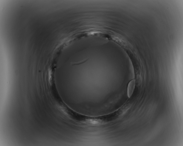 X0000086730654200704201647