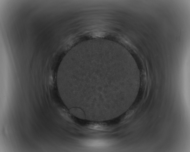 X0000086730655200704201647