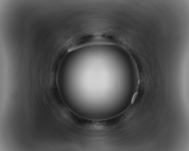 X0000086730656200704201647